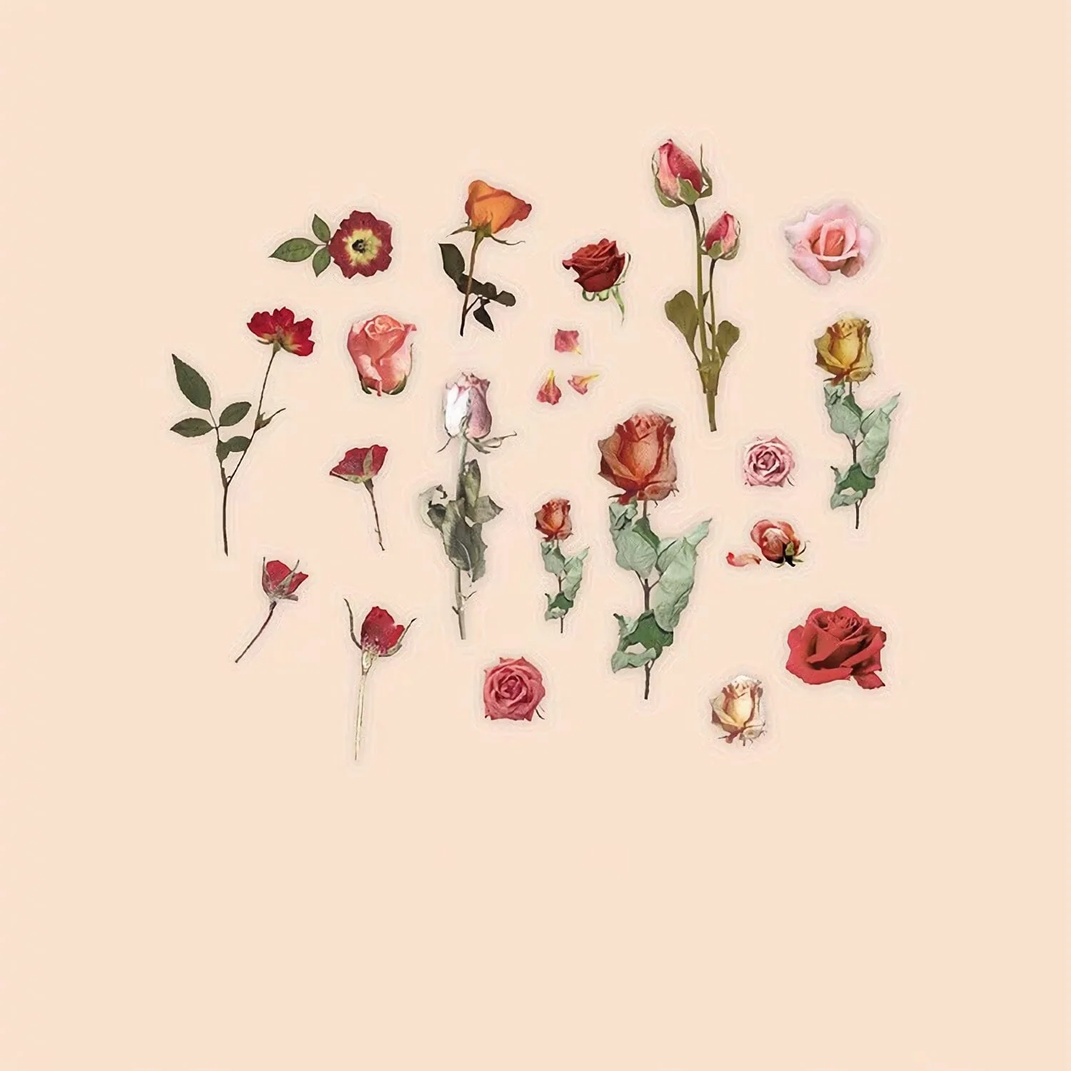 Mini Floral Sticker Pack - Image 5